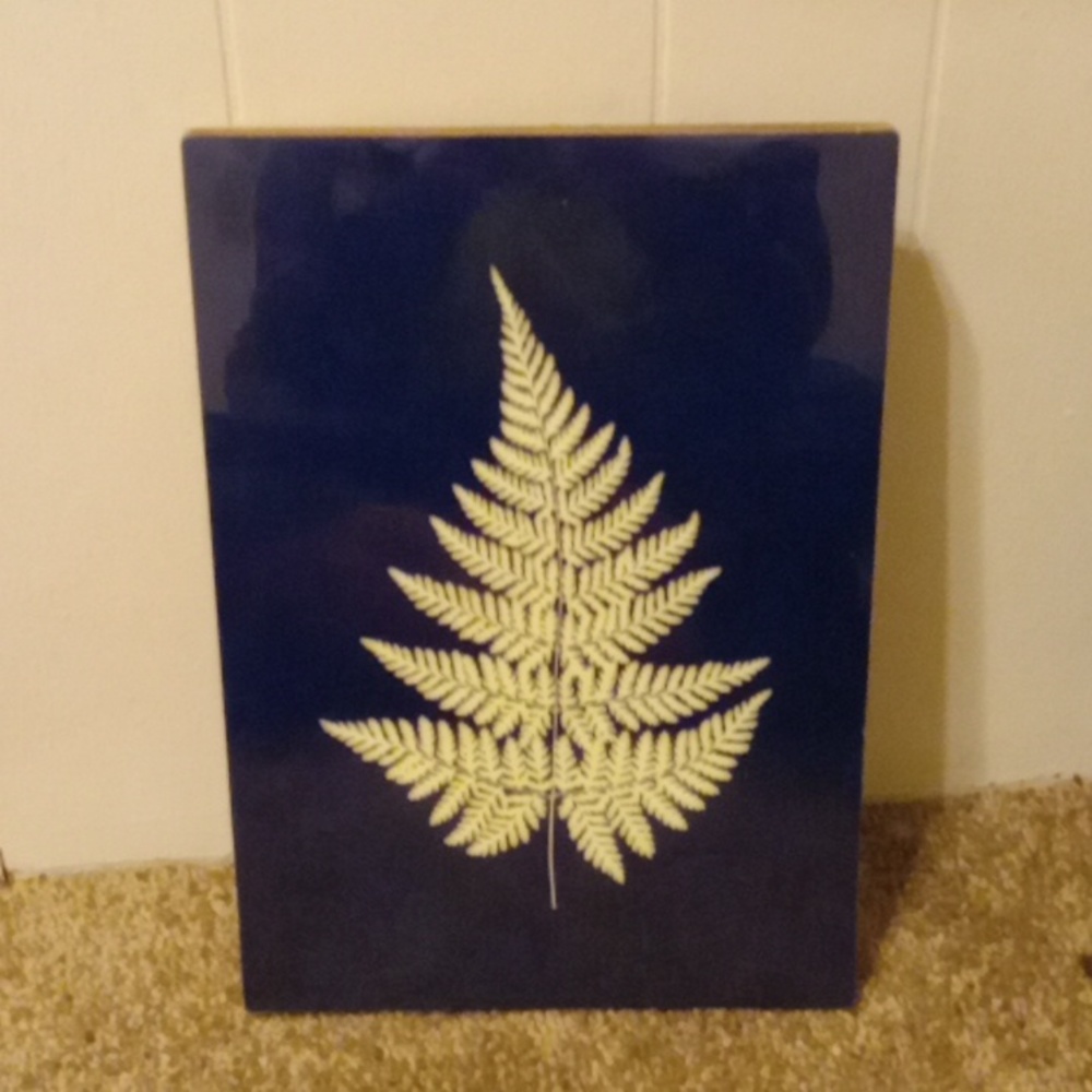 Fern print 14x9"